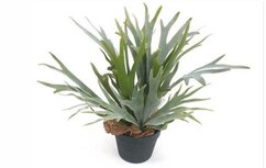 Hersthoorn in pot | Kunstplant — M