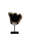 Versteend hout op voet